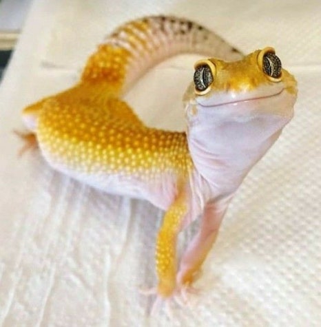 괜찮은연구소 이미지
