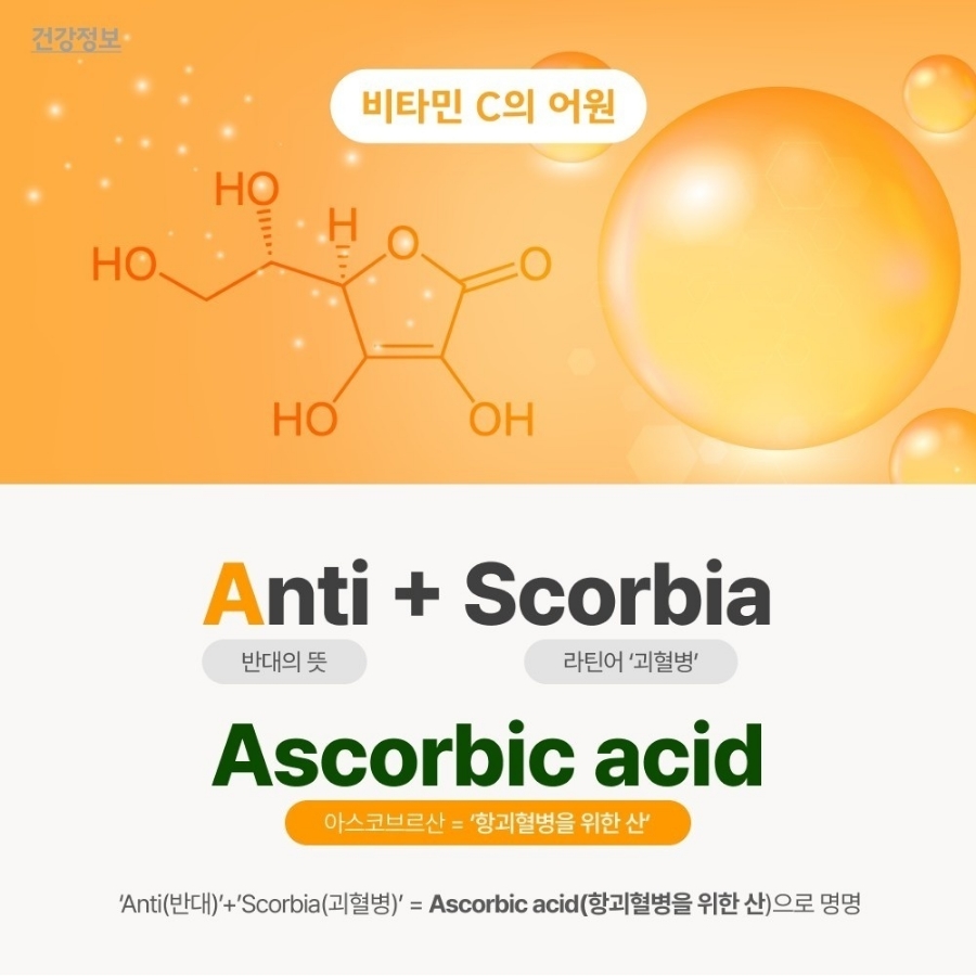 365착한가격 이미지
