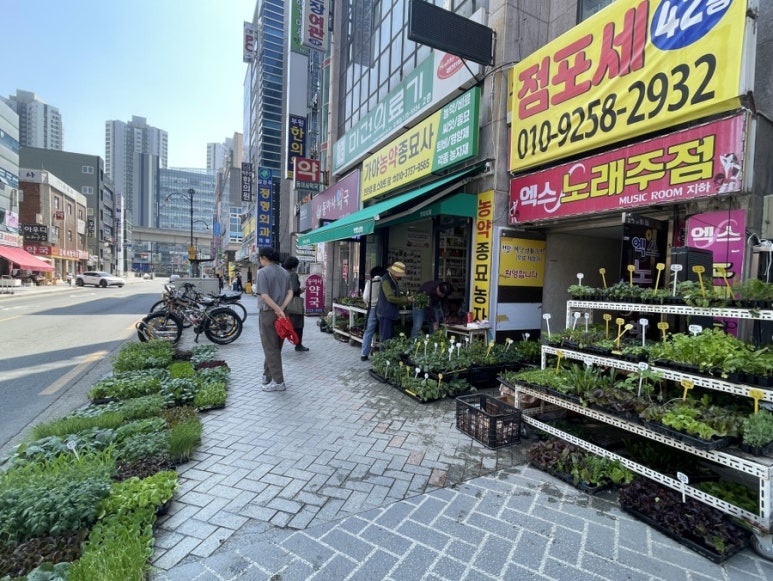 김해농약종묘사 이미지