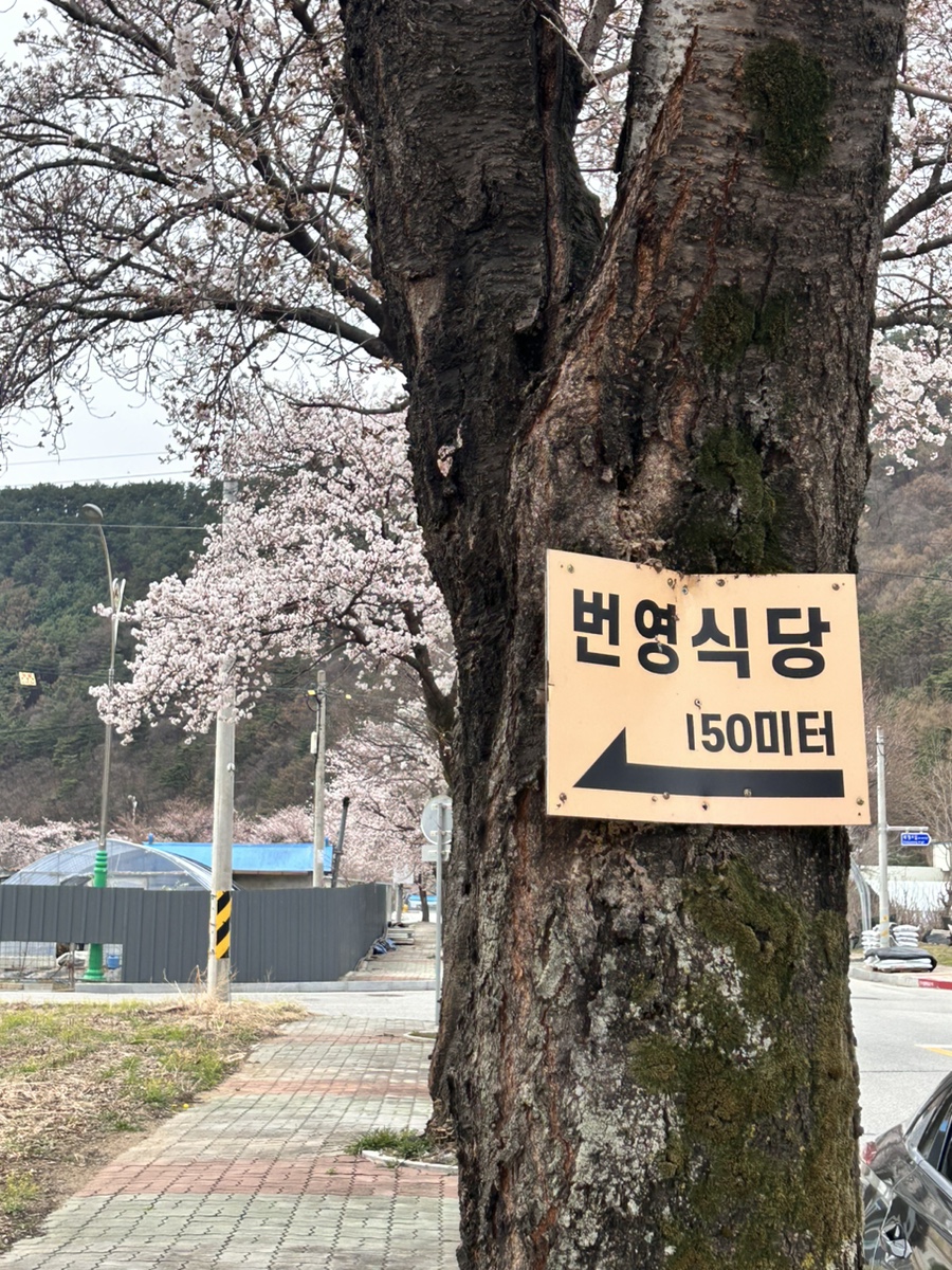 번영식당 이미지