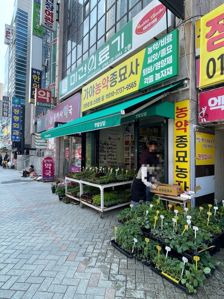 김해농약종묘사 이미지