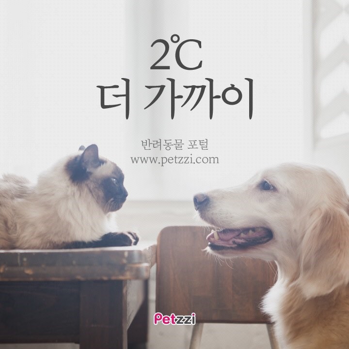 알아 이미지