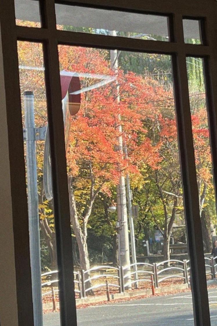 리그로브왁싱 이미지