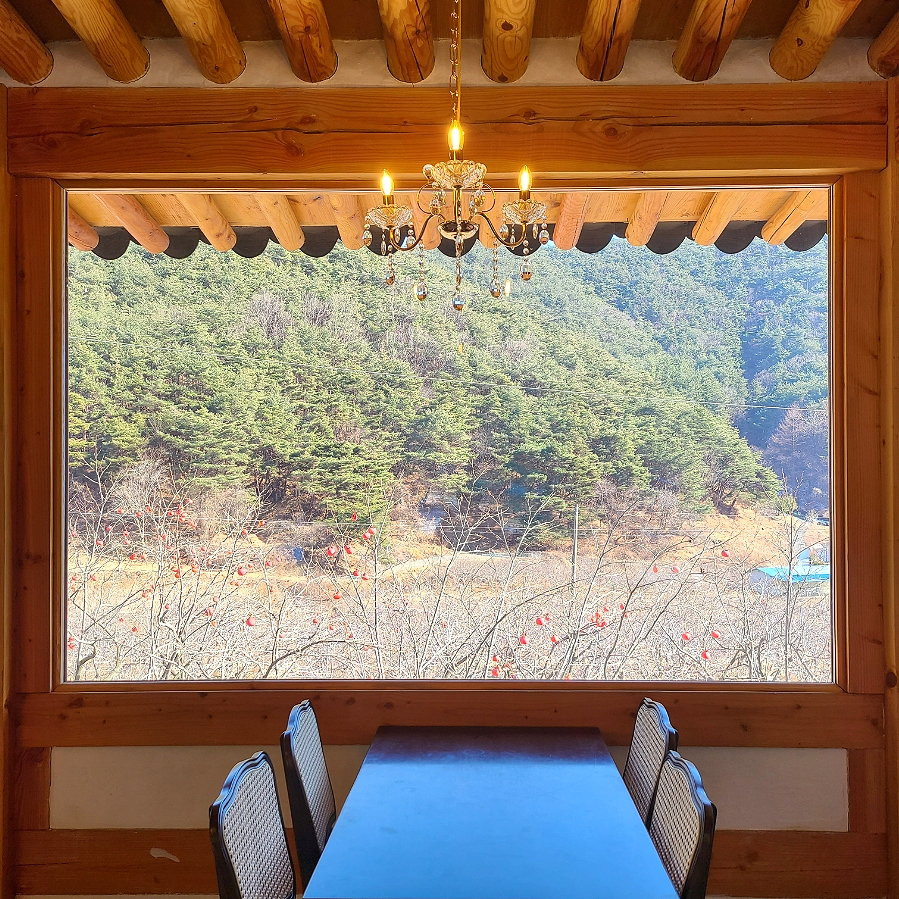 아떼에르 인 예다숲 이미지