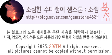 보로플라워마켓 이미지