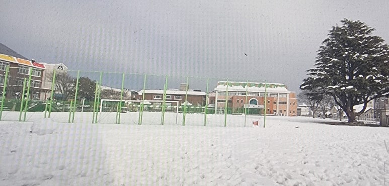 양양초등학교 이미지