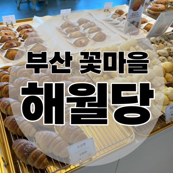 유명꽃마을 이미지