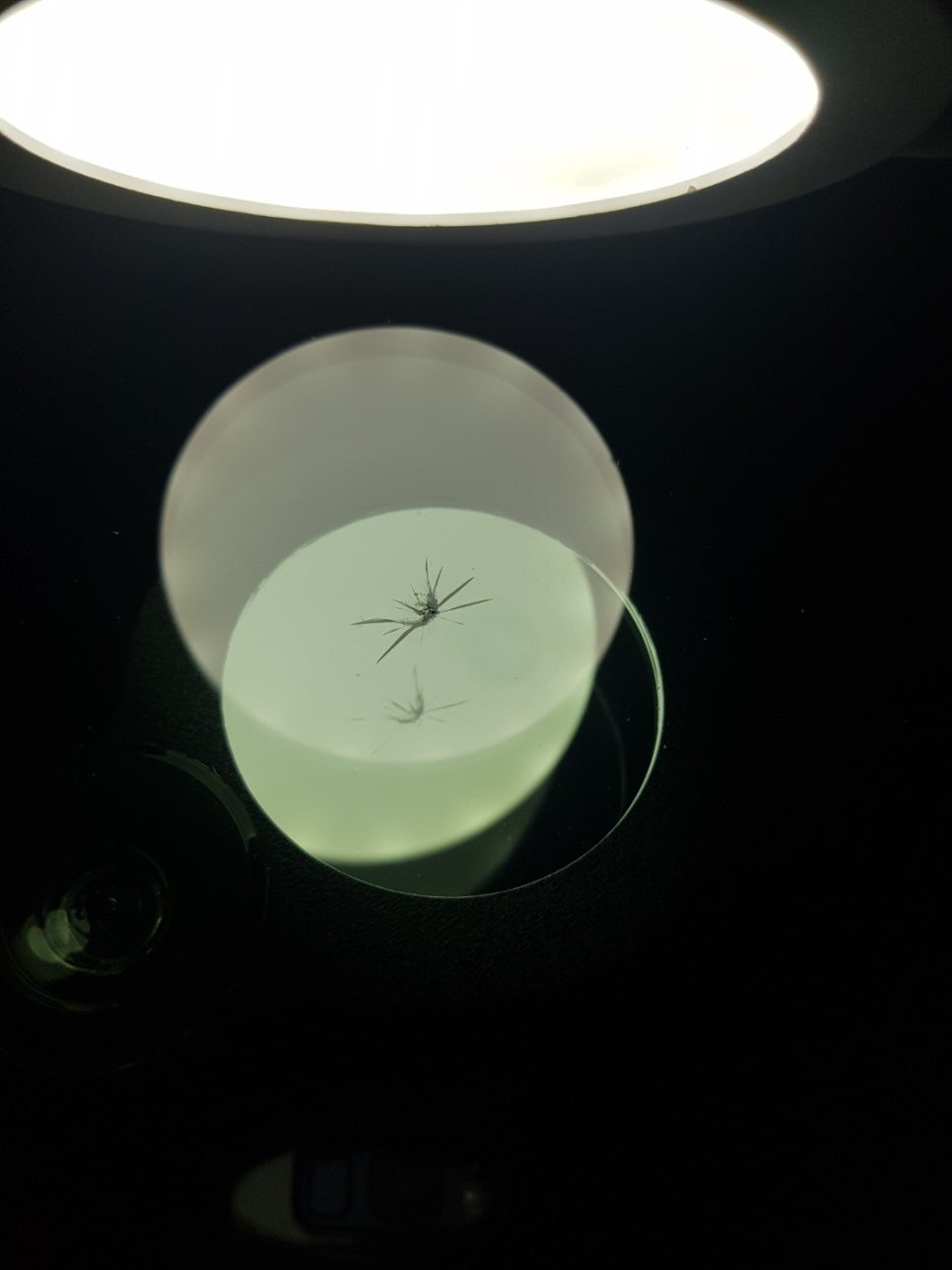 충남차유리 이미지