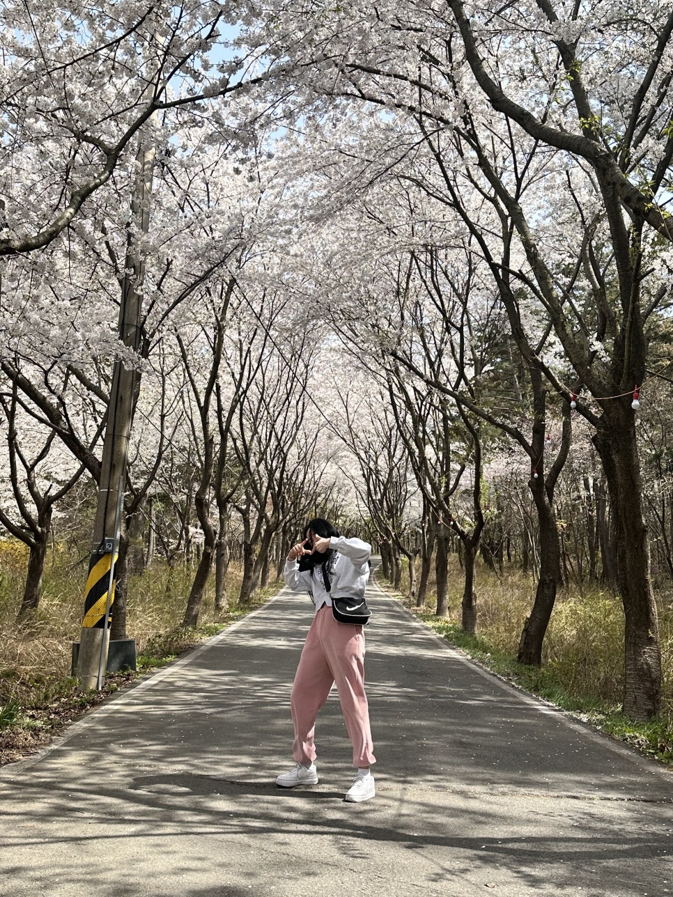 마레모어 이미지