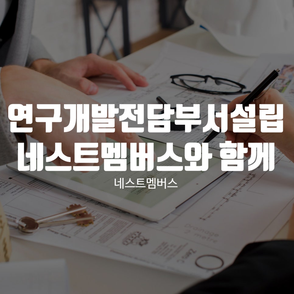네스트멤버스 이미지