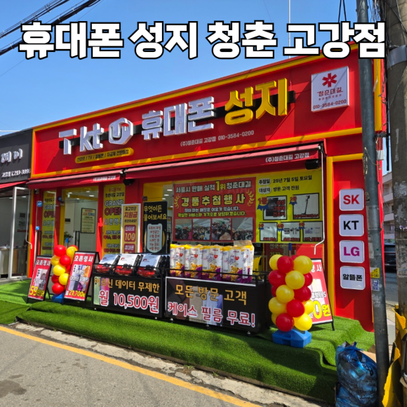 청춘대길 이미지