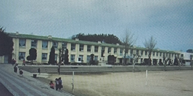 양양초등학교 이미지