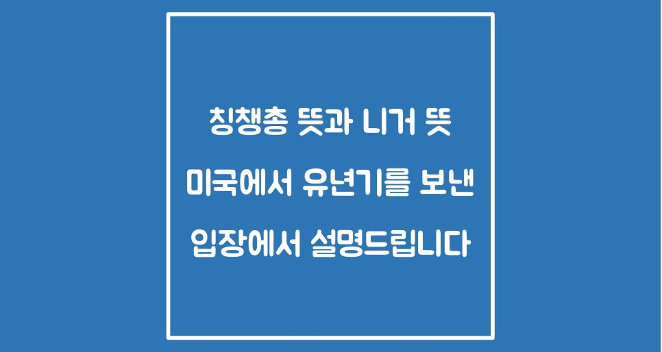 칭챙총 뜻과 니거 뜻 - 미국에서 유년기를 보낸 입장에서 설명드립니다 : 네이버 블로그