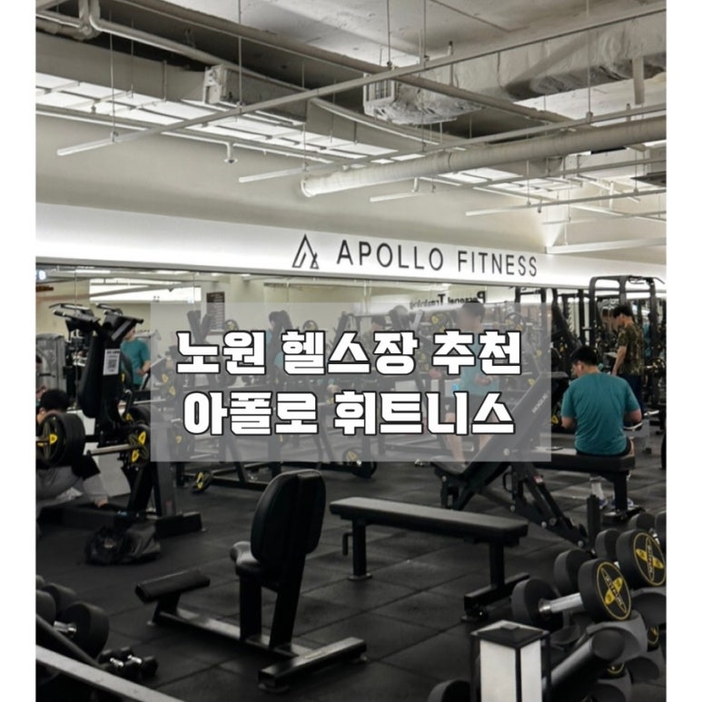 아폴로휘트니스 이미지