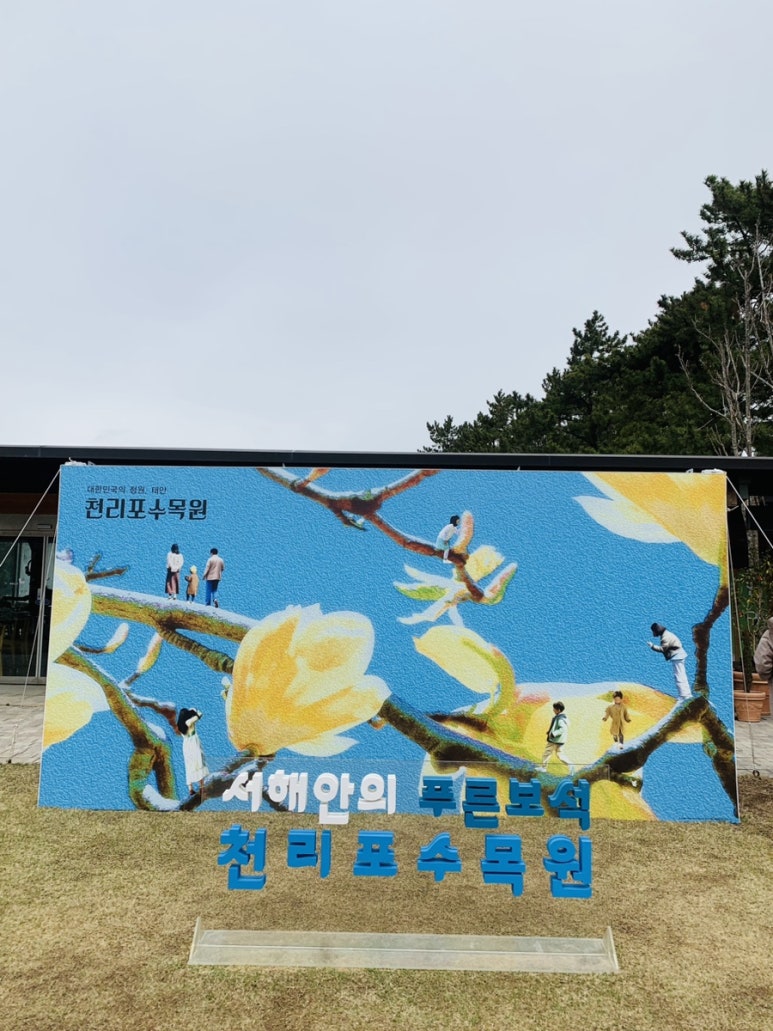 천리포차 이미지