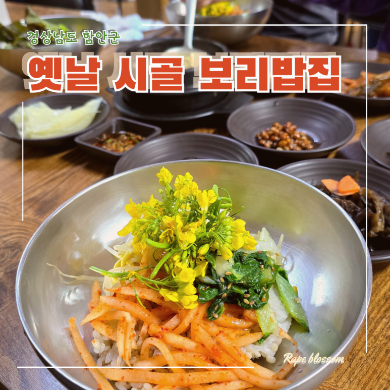 옛날시골보리밥집 이미지