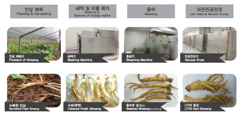 웰너스코리아 주식회사 이미지