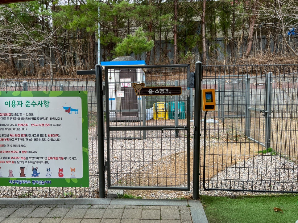 김포 태산테마파크 반려견 놀이터 이용 방법 및 후기 — 사진 5