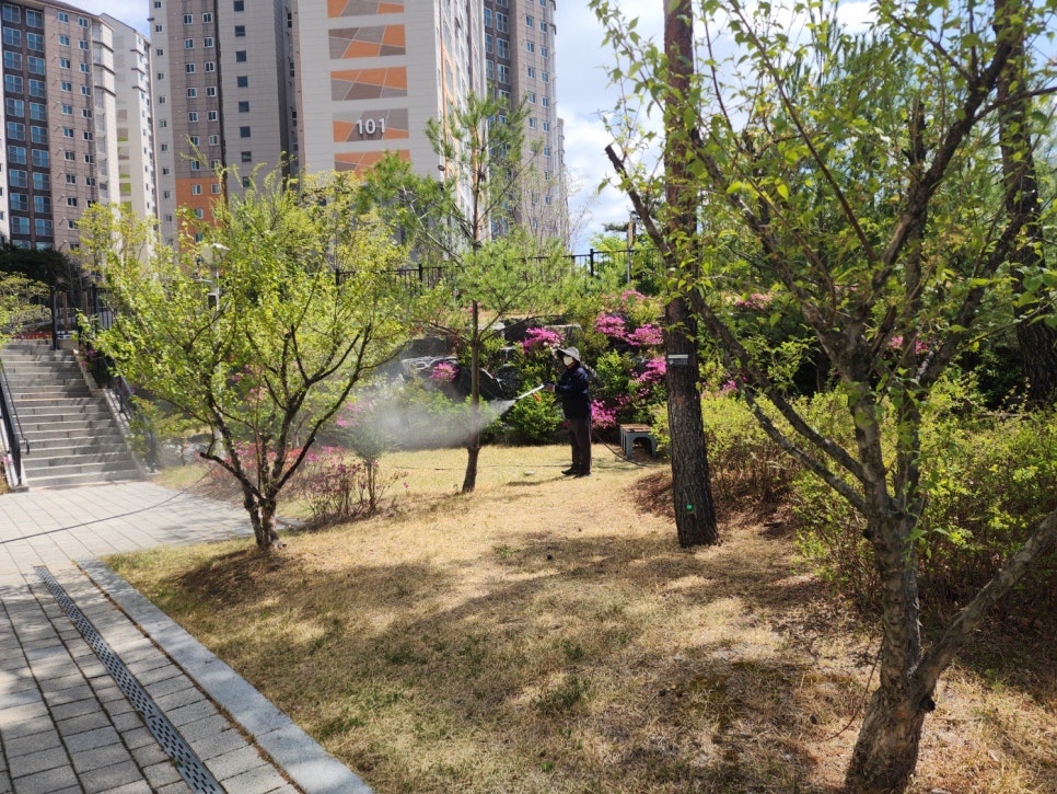 달성나무병원 이미지