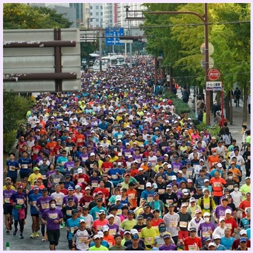 보람글로벌 이미지