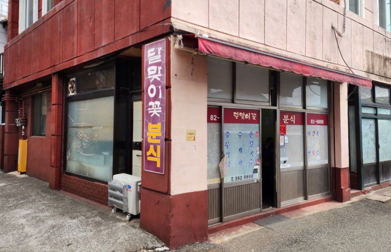 달맞이꽃 분식 이미지