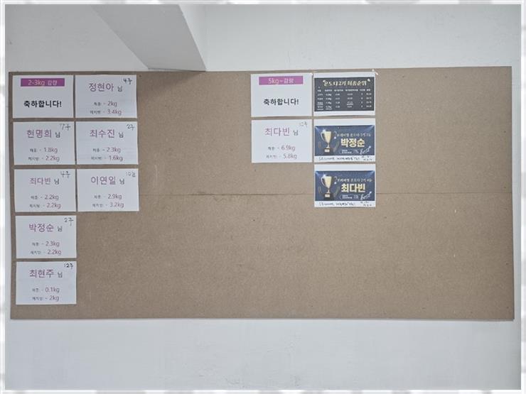 핑다이어트 이미지