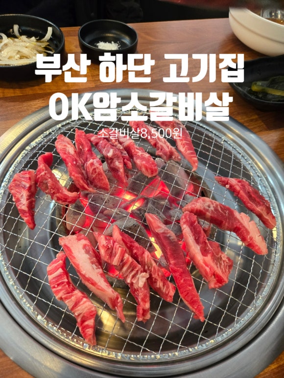 OK암소갈비살 하단점 이미지
