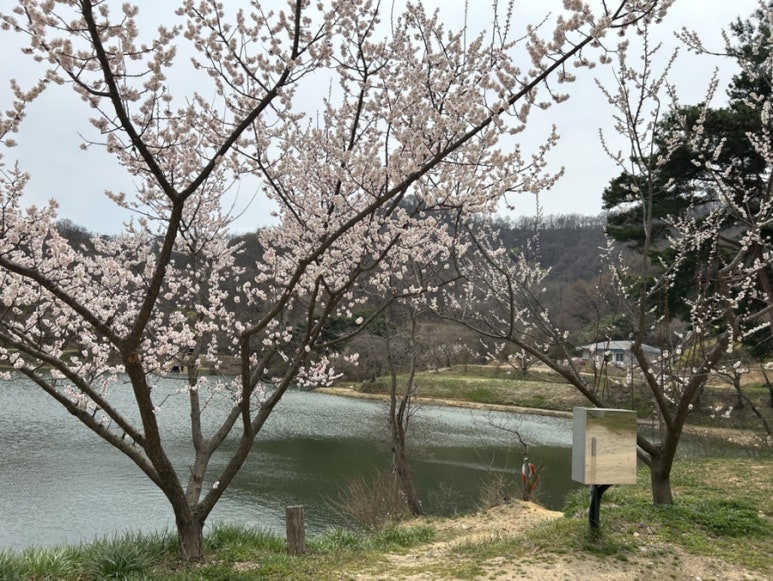 뭐길래산장식당 이미지