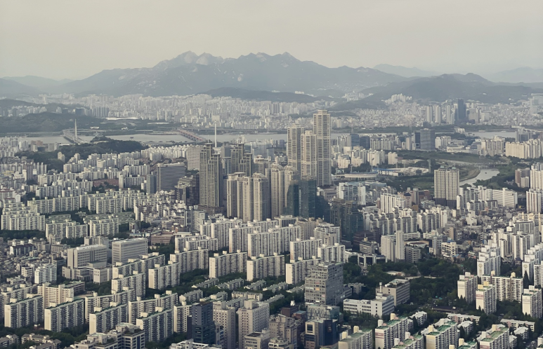 앤트케이브 이미지