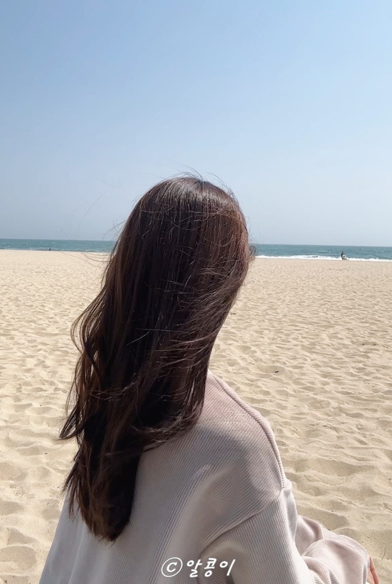 코코빈 이미지