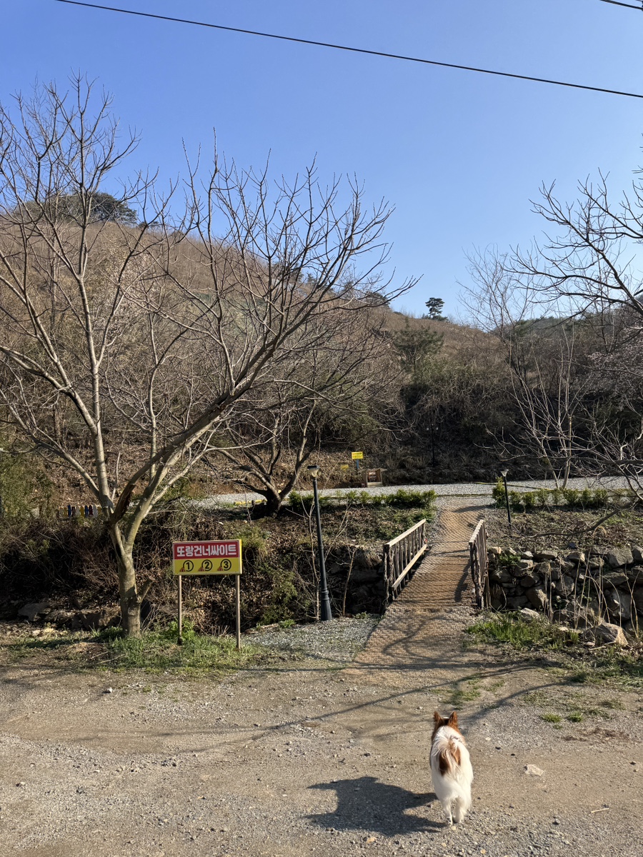 서리실힐링가족캠핑장 이미지