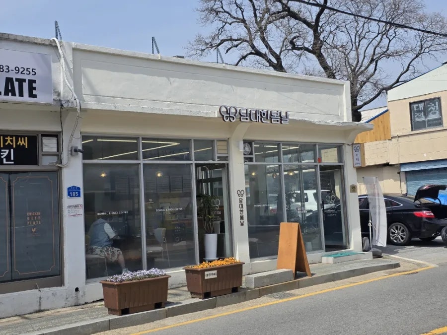 담대한 봄날 이미지