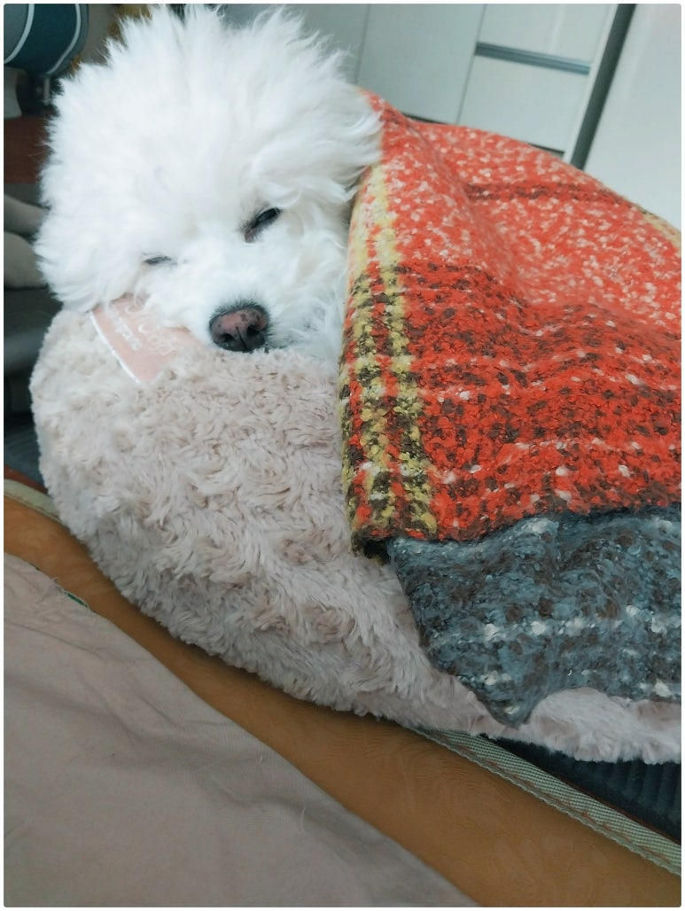 레인기타학원 이미지