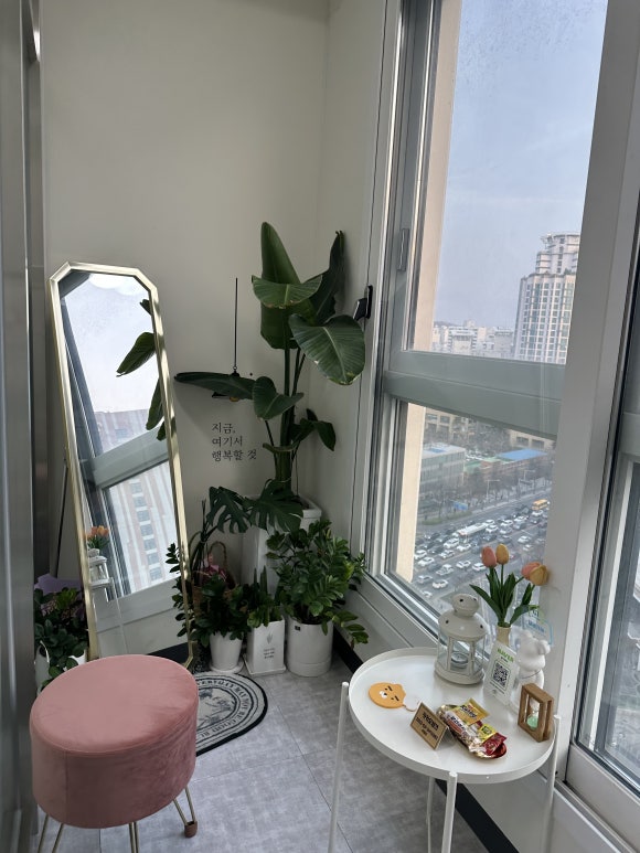 영뷰티샵 이미지