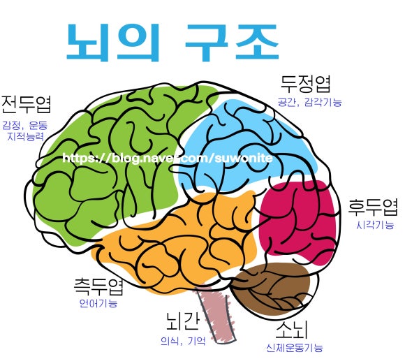 단원요양보호사교육원 이미지