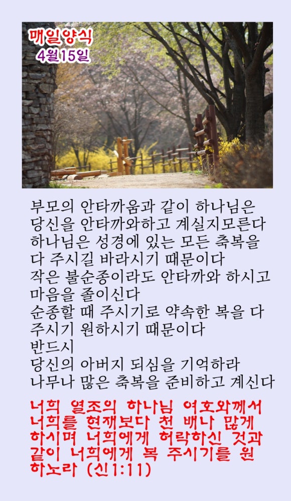 샬롬 이미지