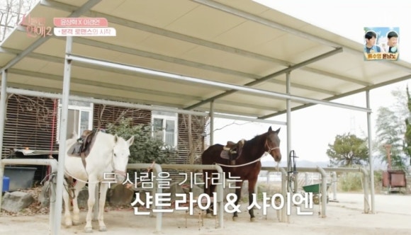 그랑프리승마파크 이미지