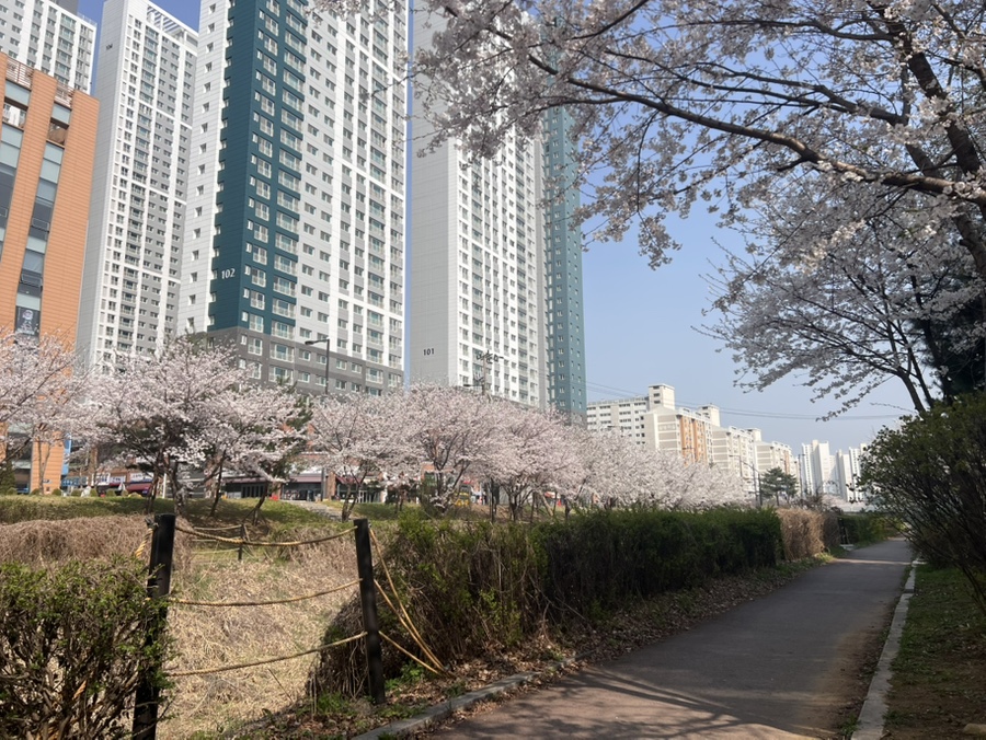 고양휴메디병원 이미지