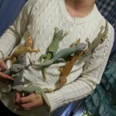 괜찮은연구소 이미지