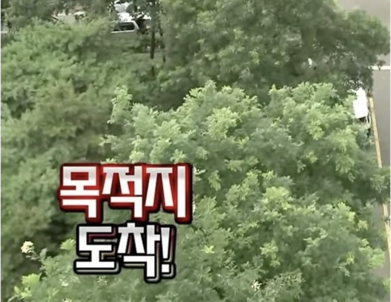 모어디저트 이미지
