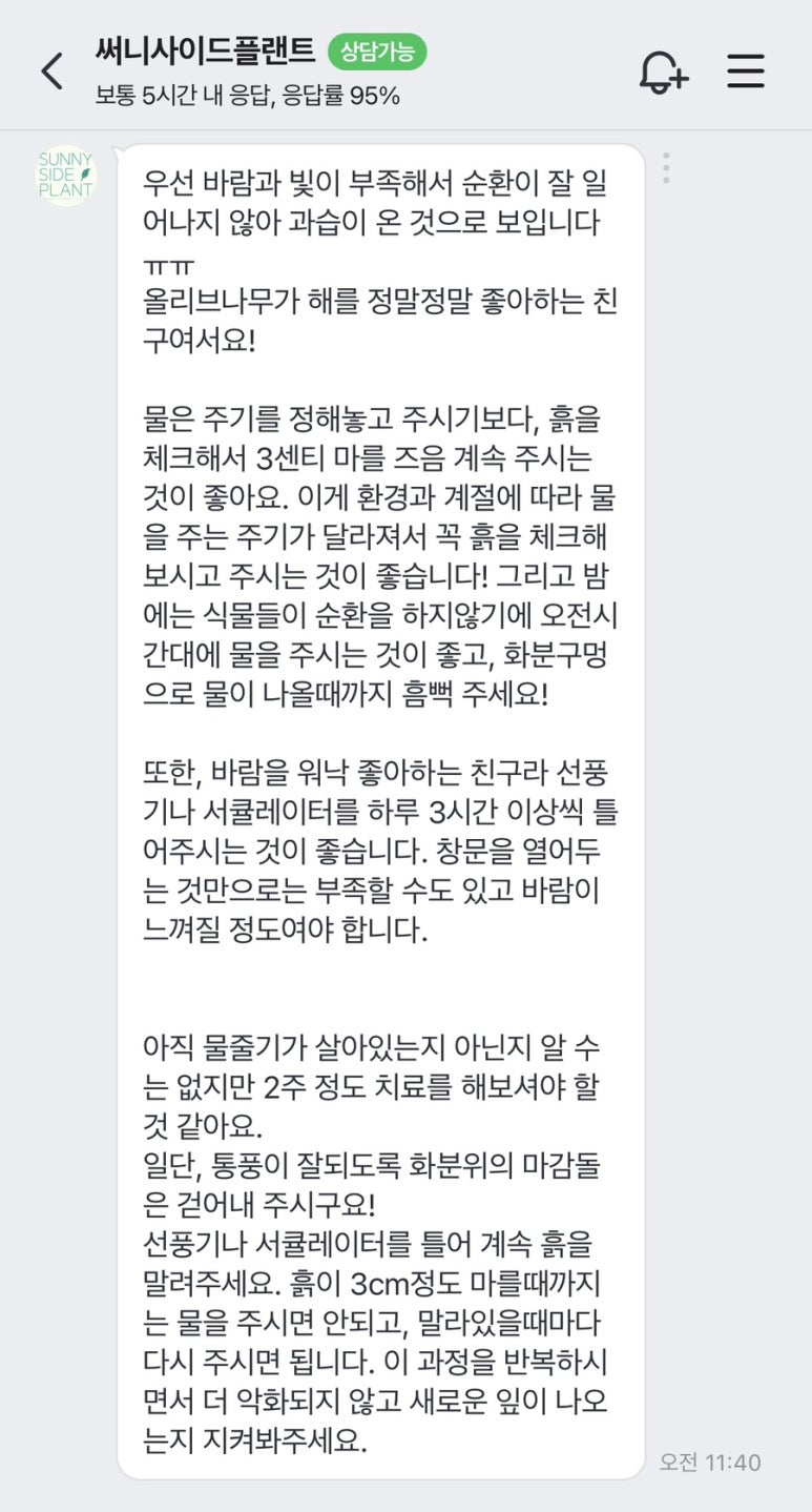 써니플랜트 이미지