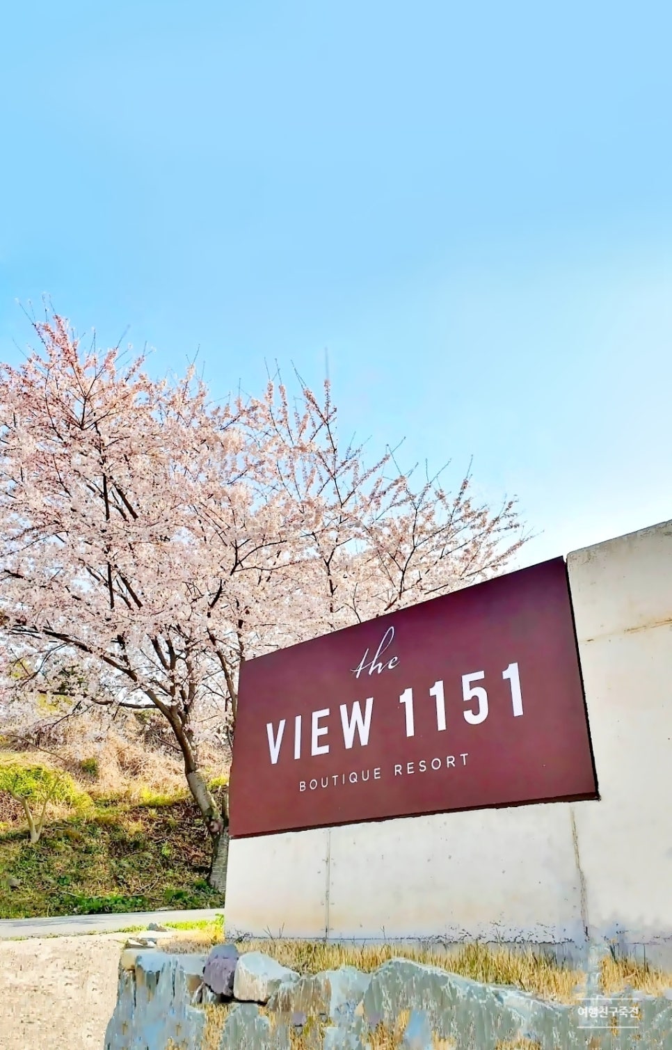 더뷰1151 이미지