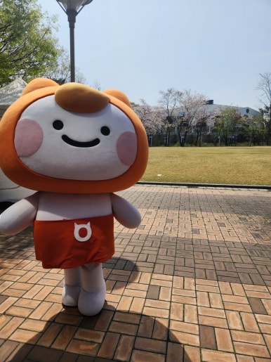 (주)민트투어 이미지