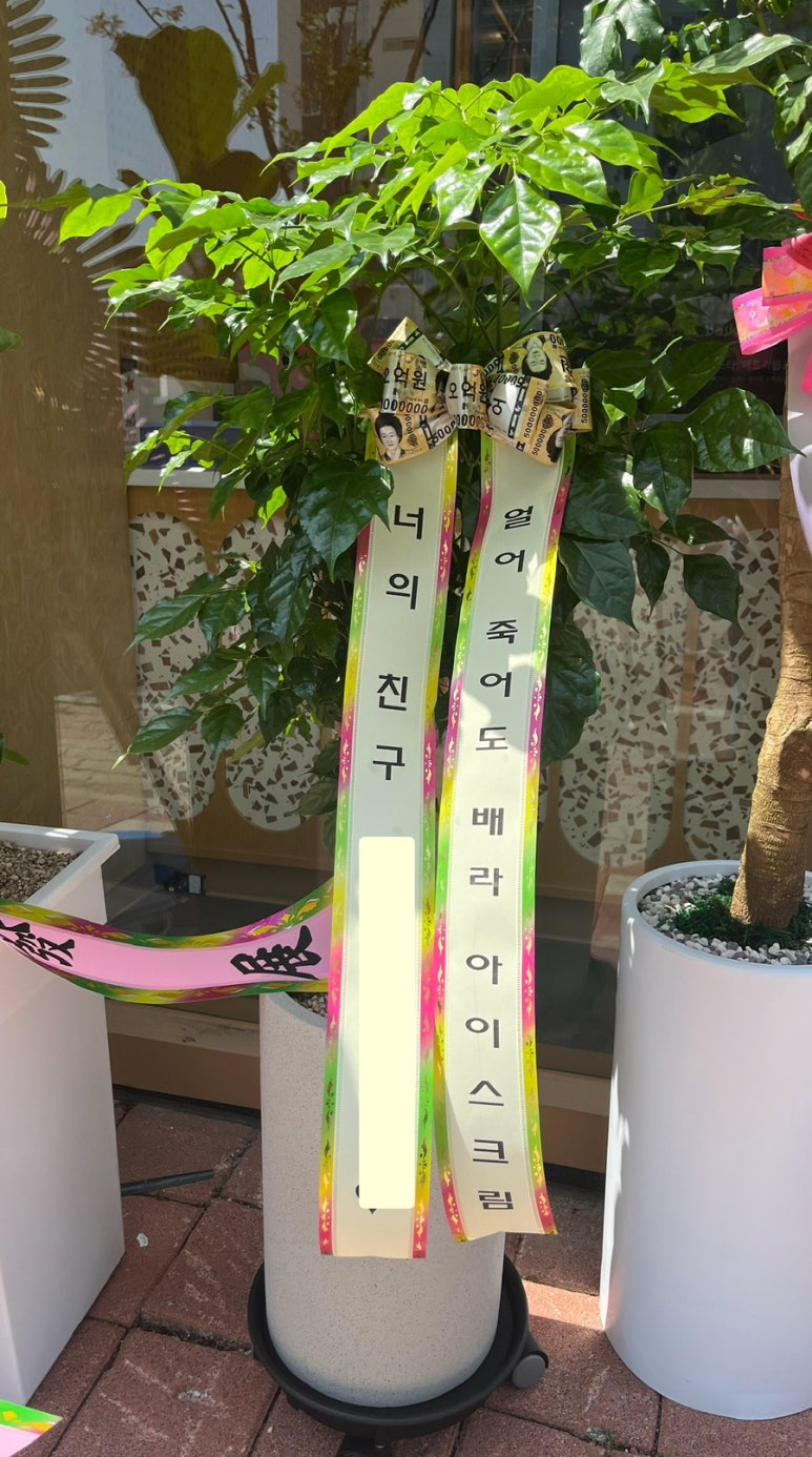 강동꽃화원 이미지