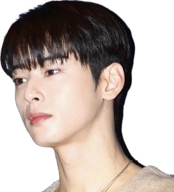 슬릭 이미지