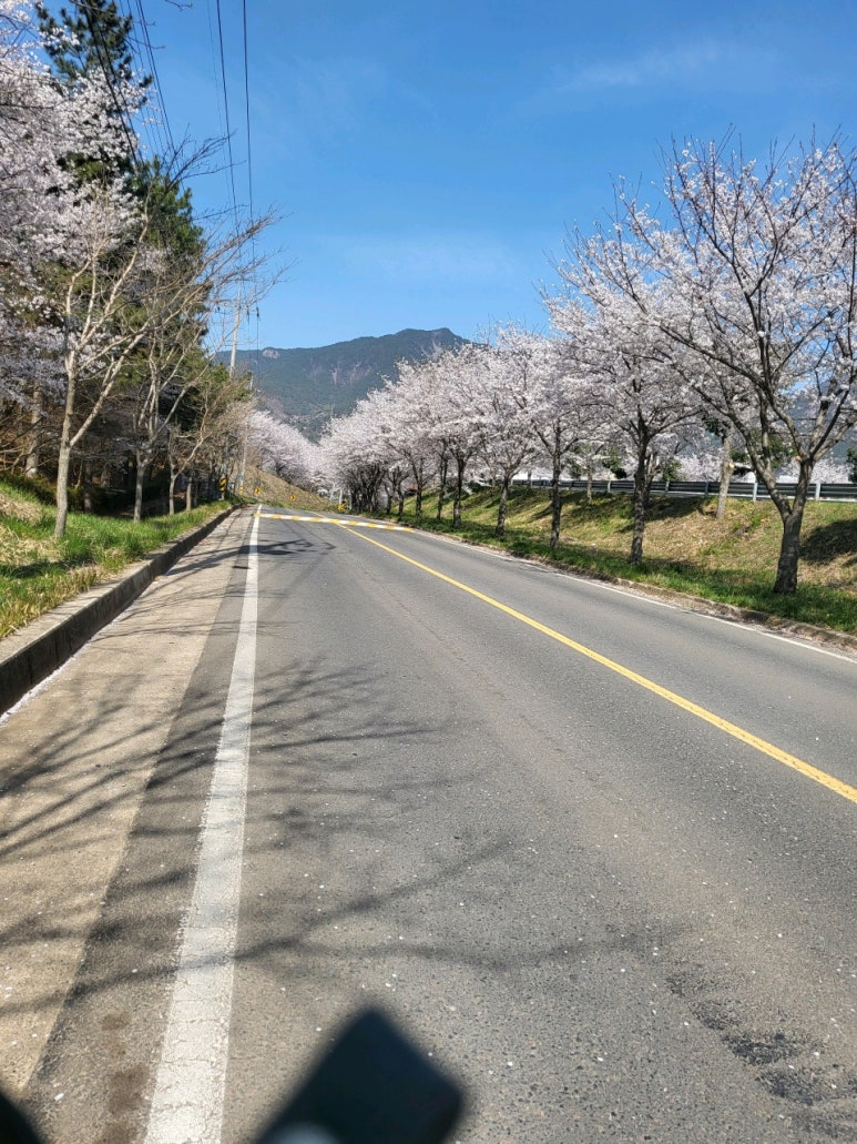 블루펜션민박 이미지