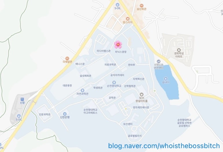 그라찌에순천향대피닉스 이미지