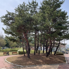 티버즈카페 이미지