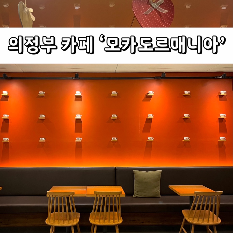 모카도르메니아 이미지