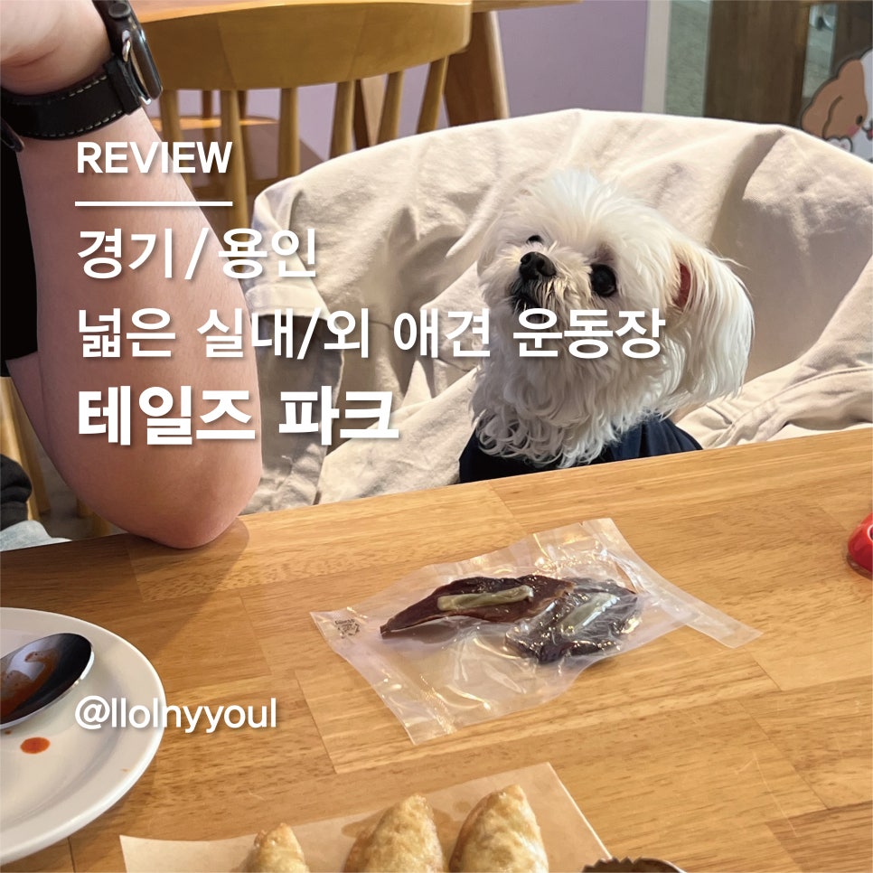 테일즈 파크 이미지
